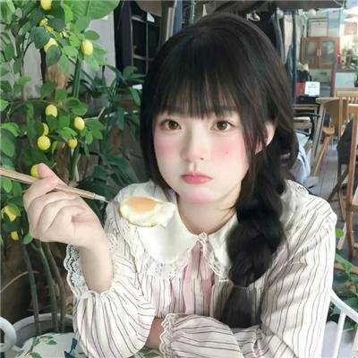 双生赤狐